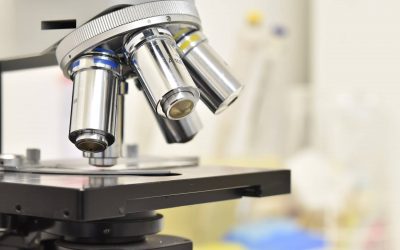 Revolució a la indústria alimentària amb innovació Foodtech
