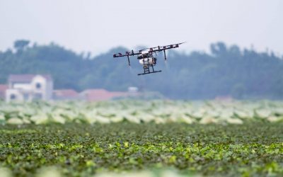 Innovaciones que transformarán la industria alimentaria