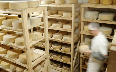 Distribució alimentària: Clau a l’estratègia nacional