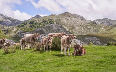 La importància de potenciar els productes de proximitat